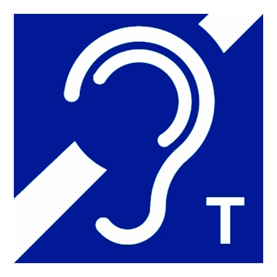 Audio Induction Loop System in the Saal