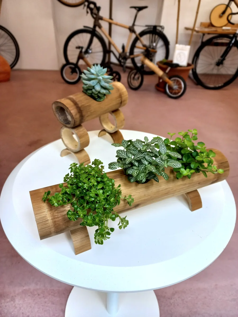 Vernissage im Stadtfenster: Bambusvelos und Keramik – lokales Handwerk zum Mitmachen